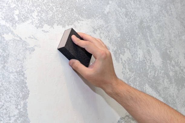 Best Basement Mold Removal  in Pomona Park, FL
