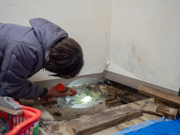 Best Comprehensive Air Testing for Mold Contaminants  in Pomona Park, FL