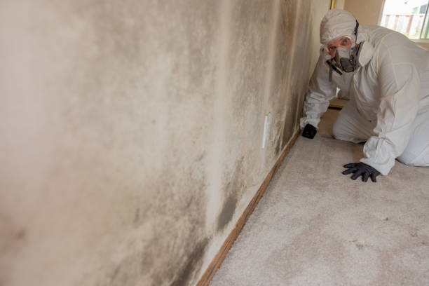Best Dehumidification Services  in Pomona Park, FL