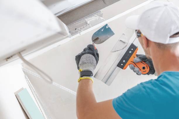 Best Basement Mold Removal  in Pomona Park, FL